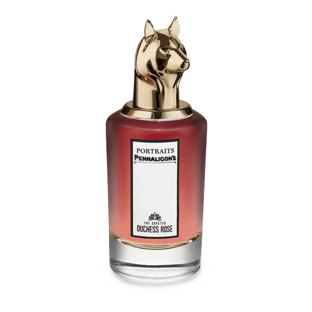 THE COVETED DUCHESS ROSE (FRAGHEAD CLASS)